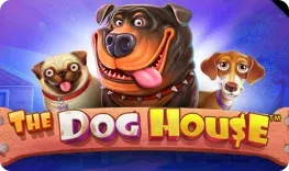 The Dog House játék a Sierra Casinóban